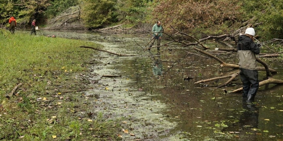 Mikulčické rameno v CHKO Soutok