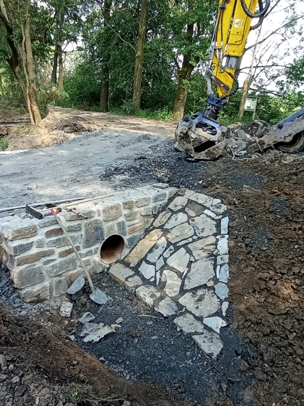 Opatření k ochraně mokřadních ekosystémů v PR Kotvice