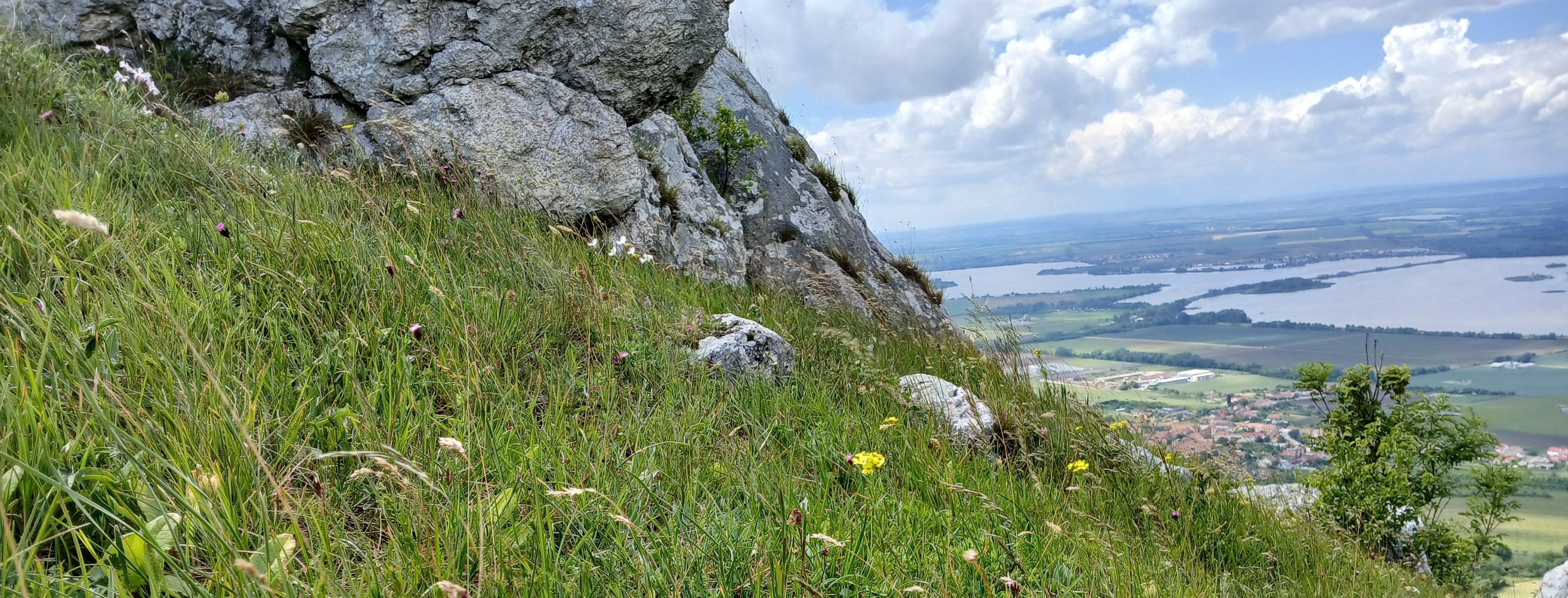 Pozvánka