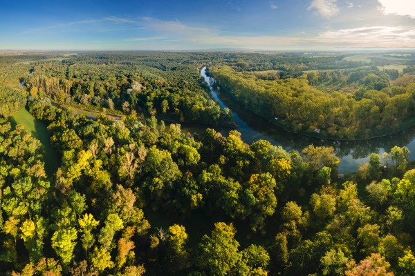 Aerial photo of river and forests in Soutok PLA, author: Jan Miklín