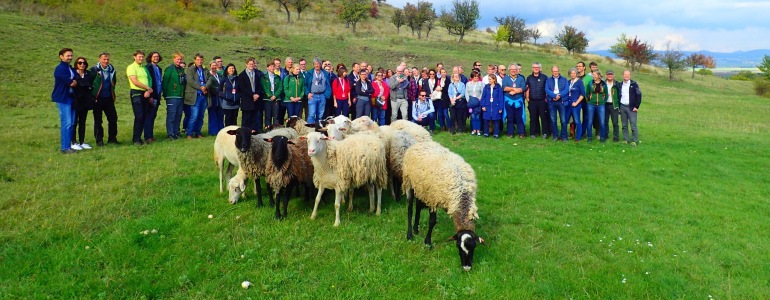 A field trip to České středohoří Protected Landscape Area as part of this meeting