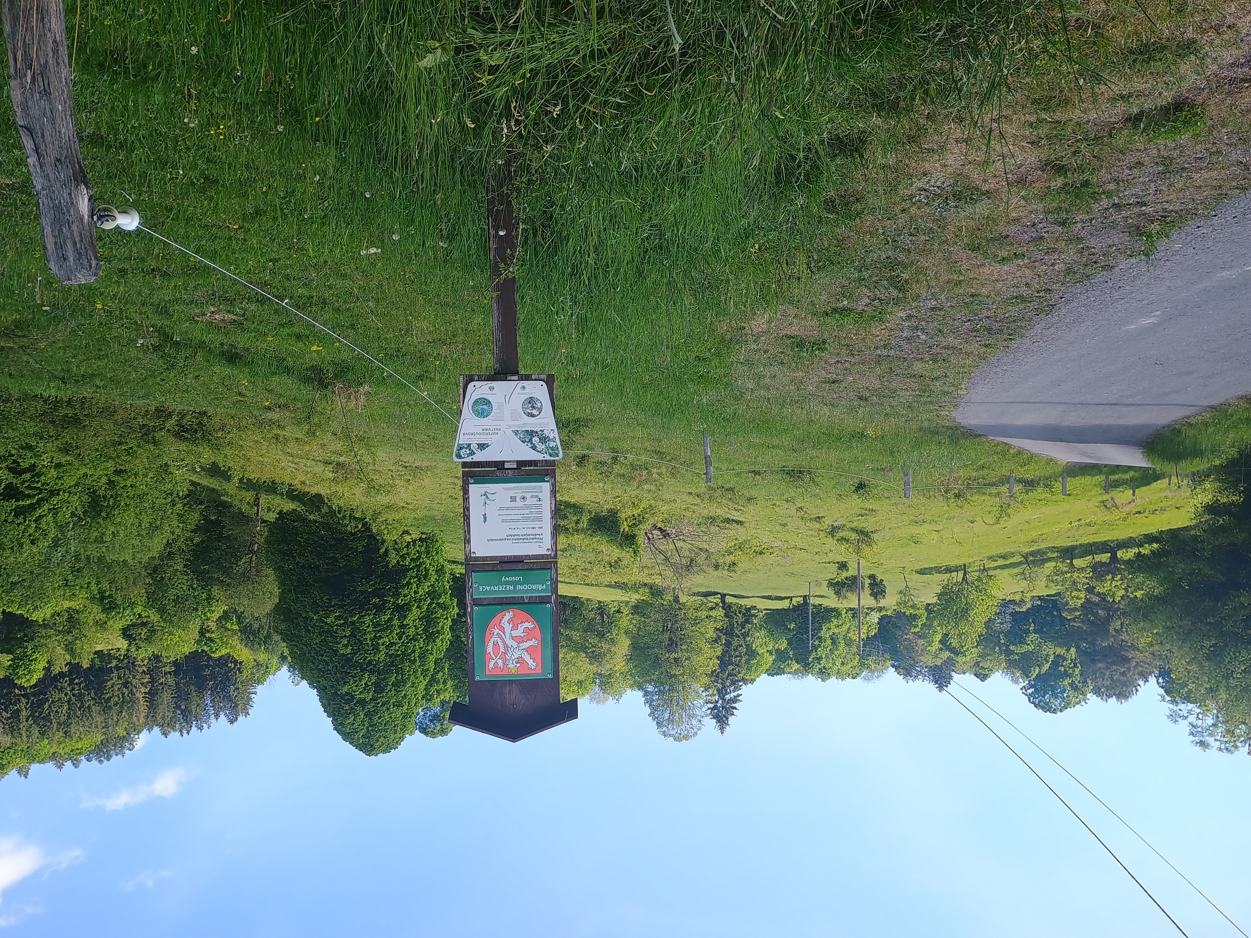 nelegalní parkování u PR Losový