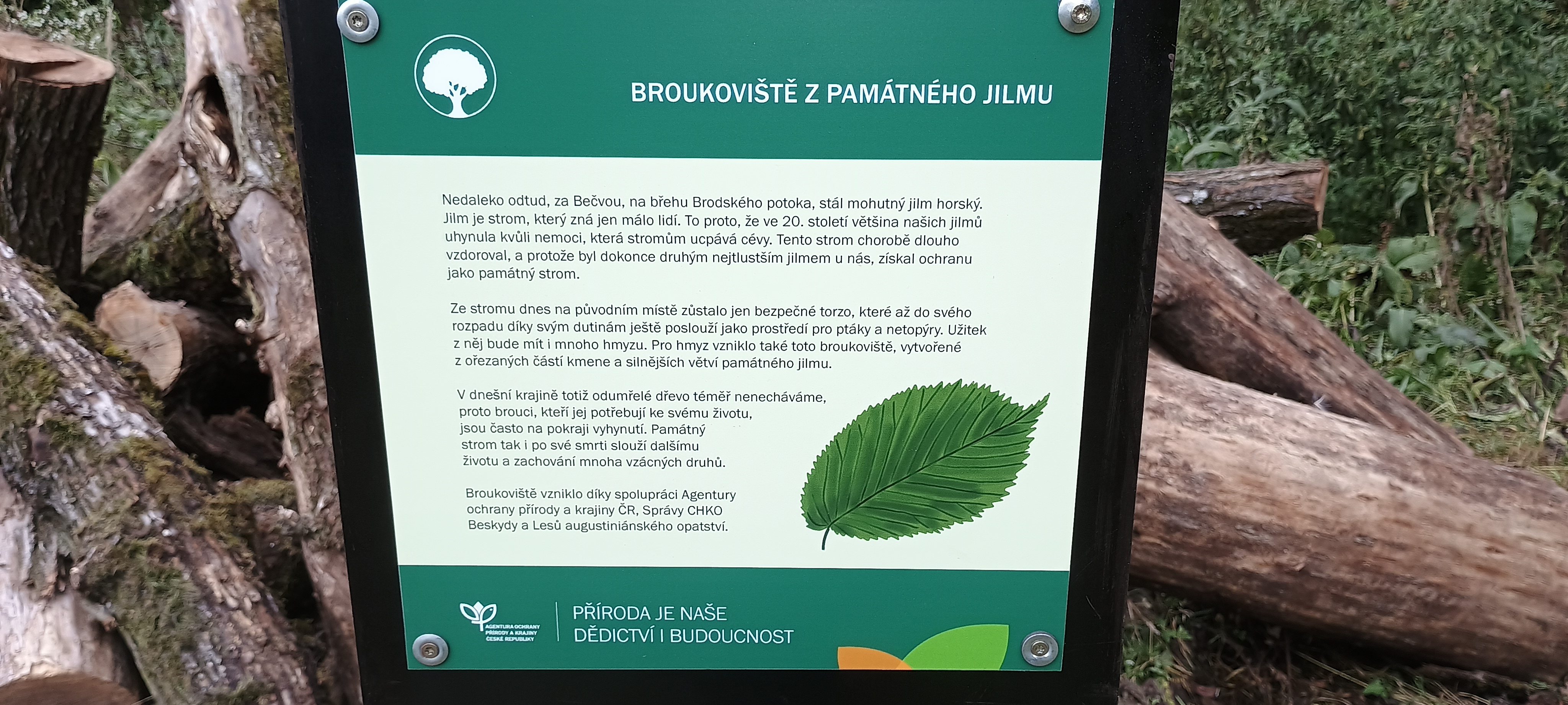 broukoviste z jilmu - cedule