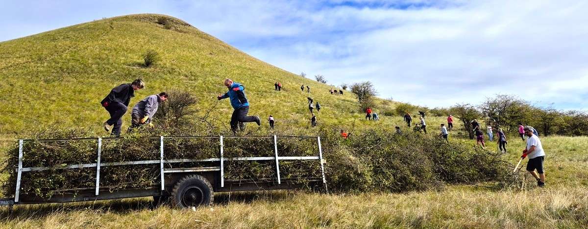 Dobrovolníci nakládají na vůz vyřezenou dřevní hmotu 
