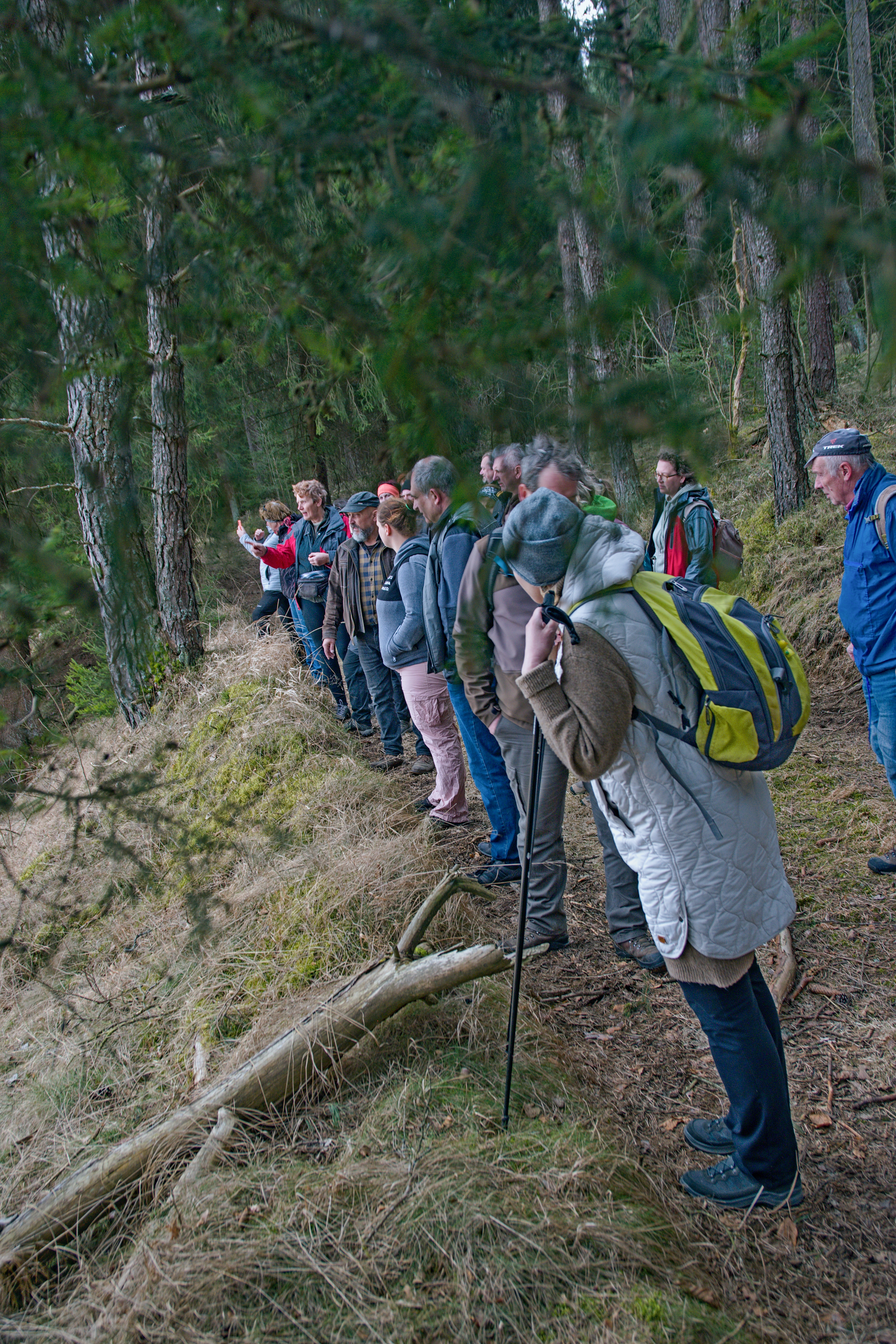 účastníci komentované vycházky při výkladu na lesní cestě