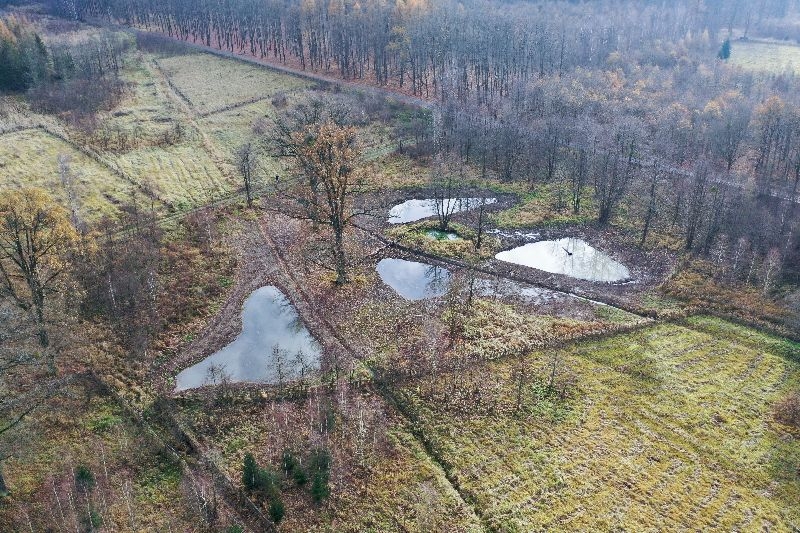 Tůně u Nových Zámků.