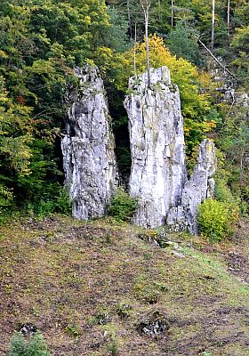 Tři hřebenáče - otec, matka a syn v CHKO Moravský kras.