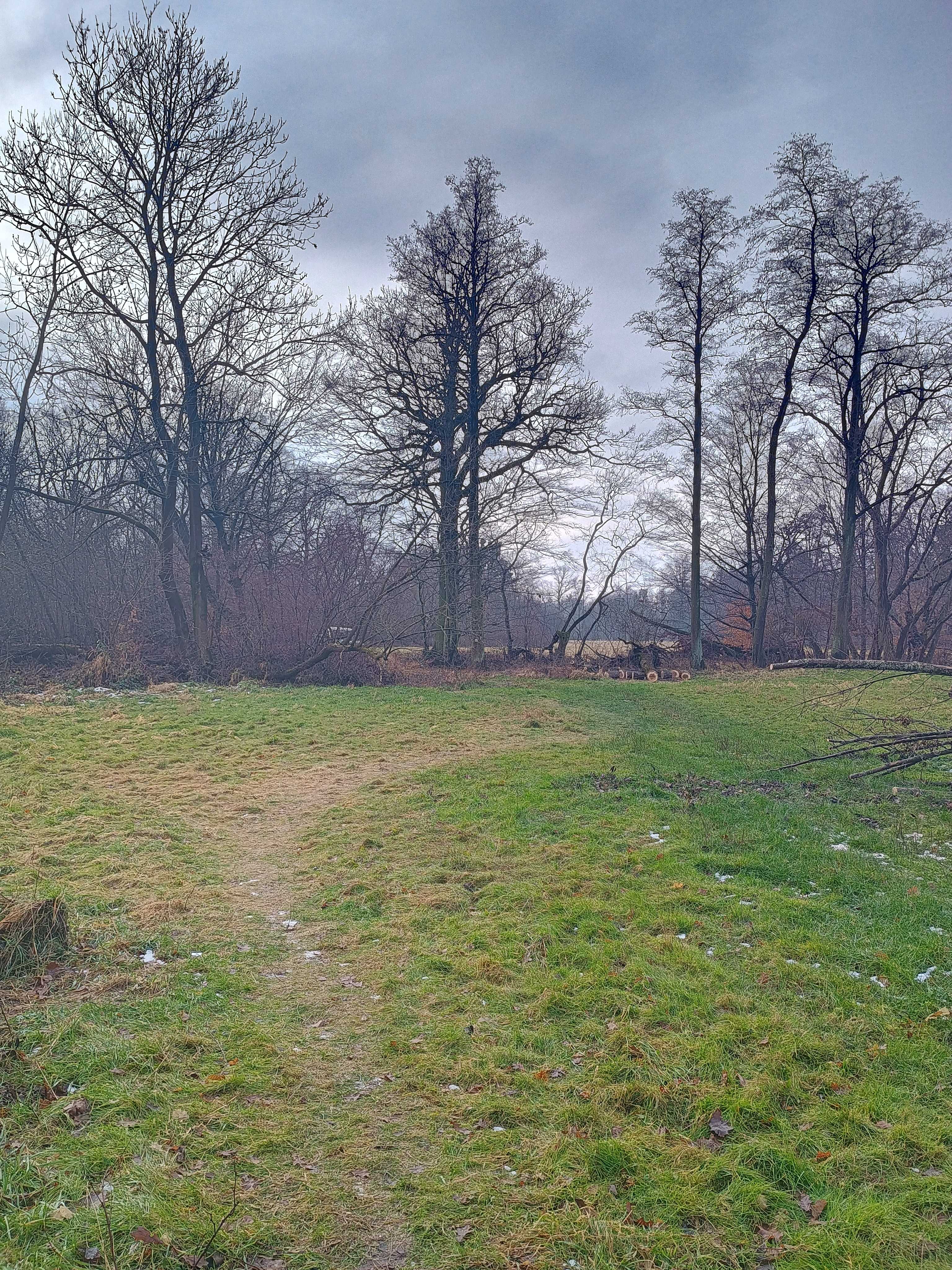 Uvolněná pěšina.