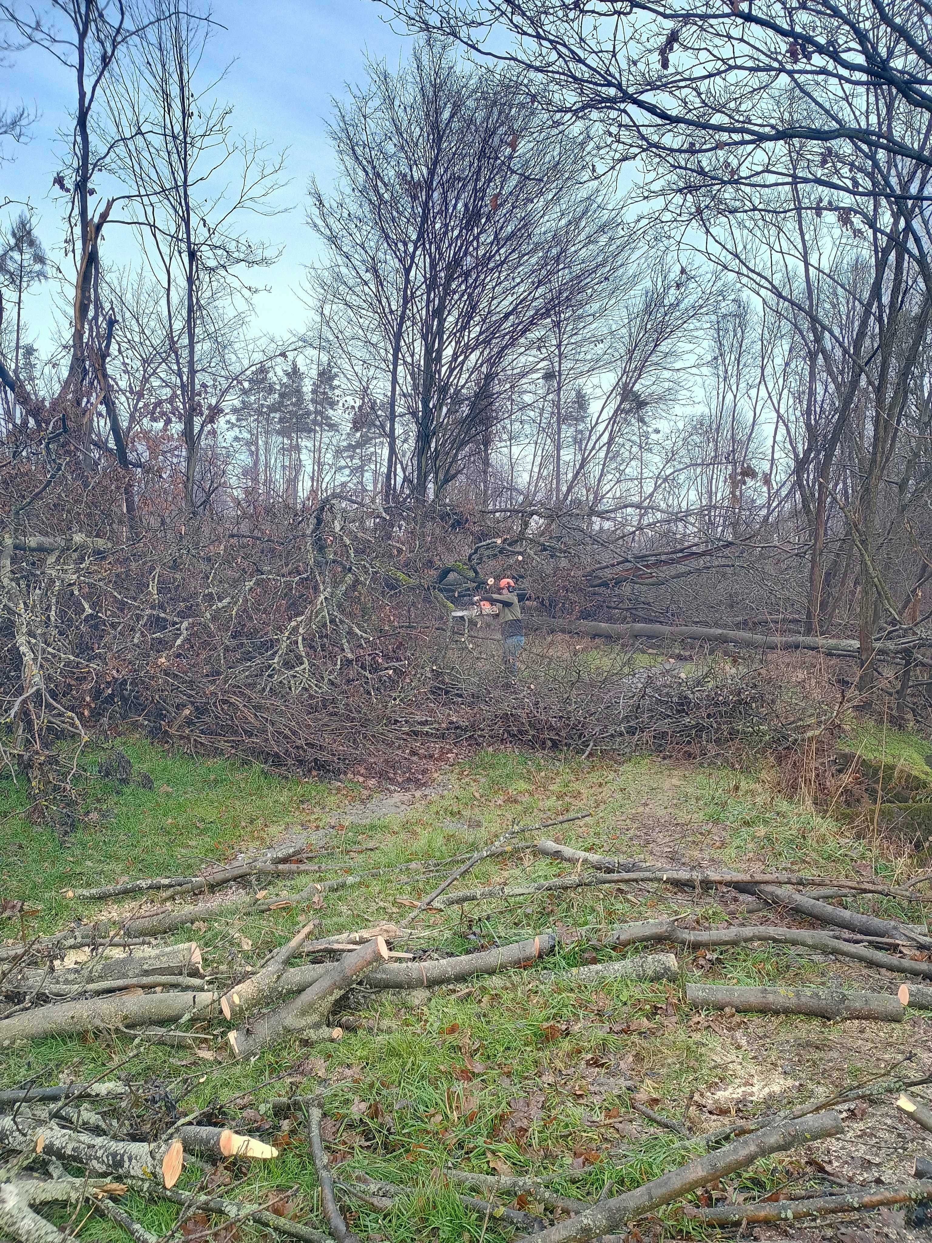 Zprůchodňování pěšiny mezi Bernarticemi a Suchdolem nad Odrou.