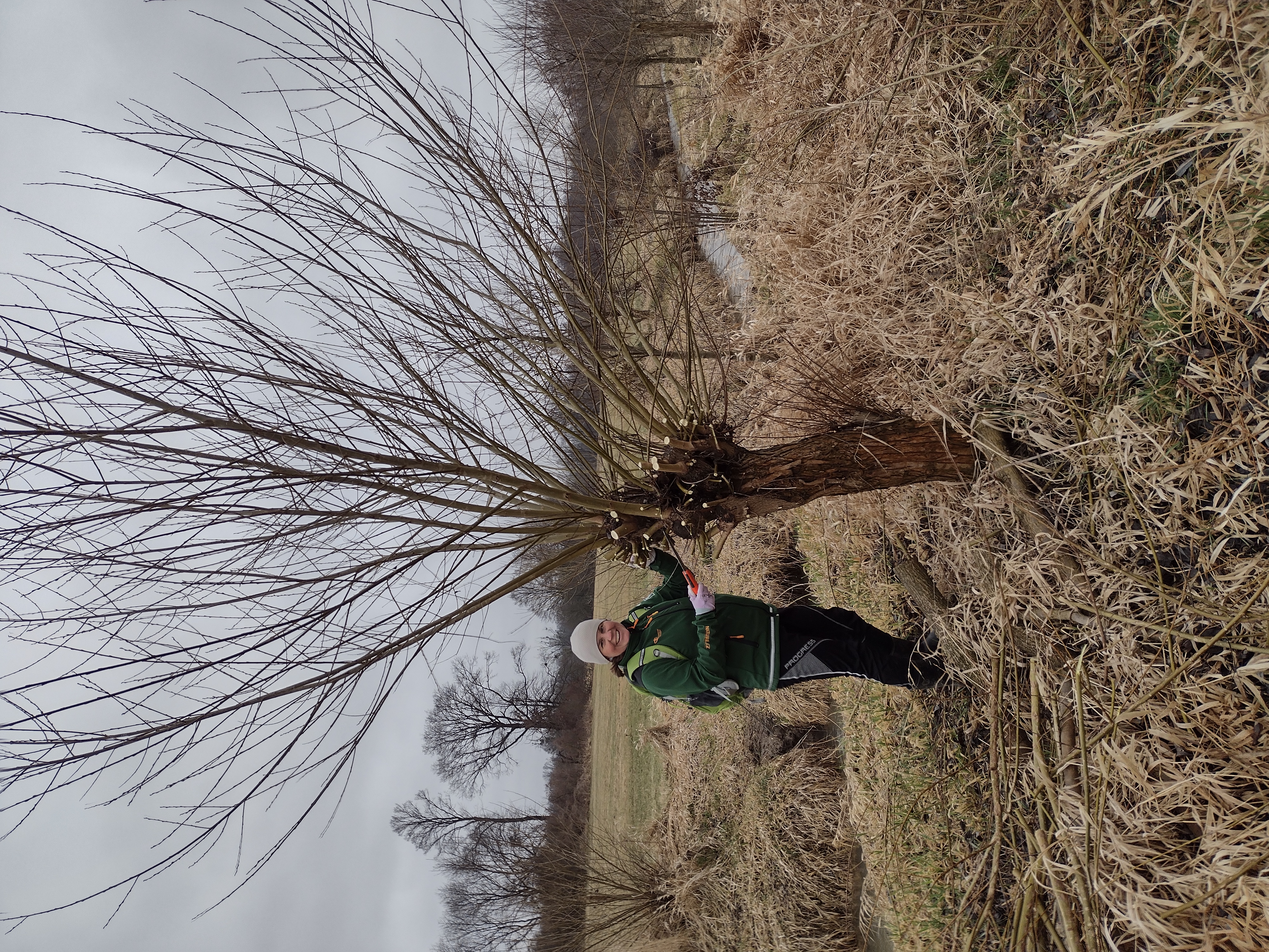 Strážkyně přírody ořezává vrbu.