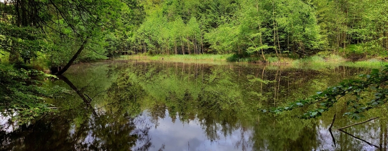 OPŽP_Ovčí rybník