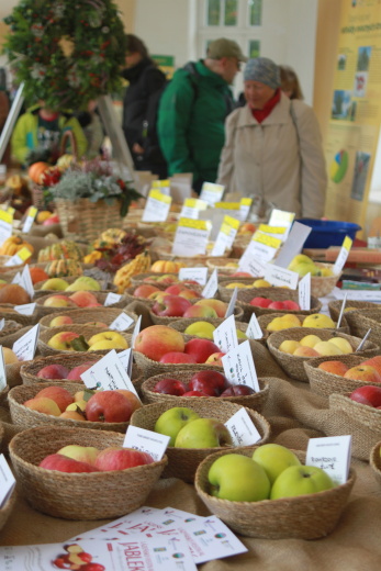 Výstava jablek