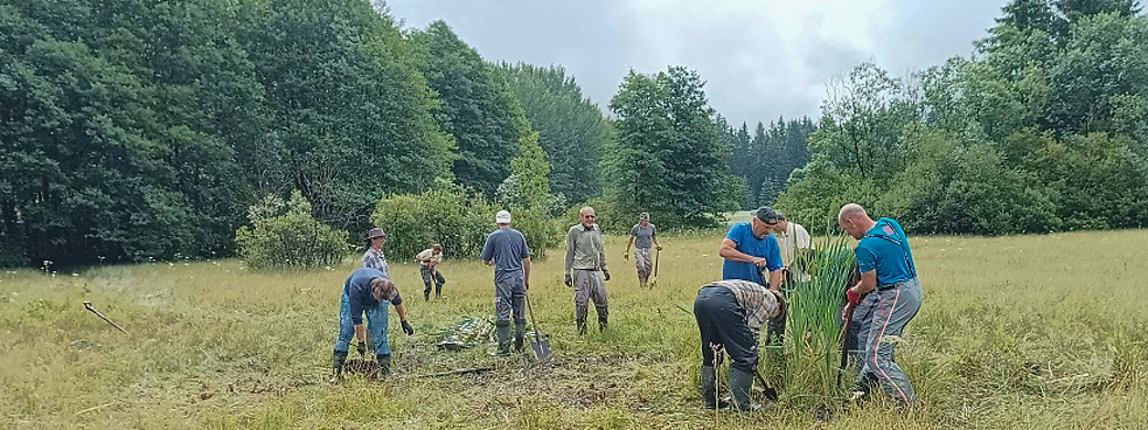 Likvidace orobinci na Zlámanci - finále, foto: Petra Doležalová