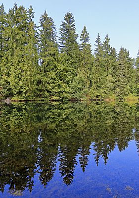 Zatopený lom Vápenice u Žďáru nad Sázavou.